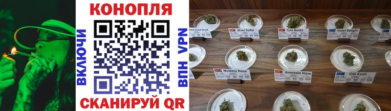 Псилоцибиновые грибы Ленинградская