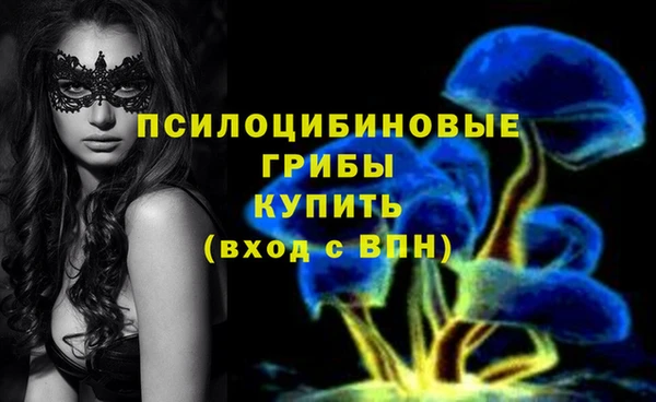 метамфетамин Инта
