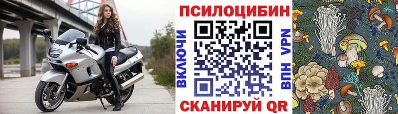 kraken зеркало  купить  сайты  Ленинградская  Псилоцибиновые грибы Cubensis 